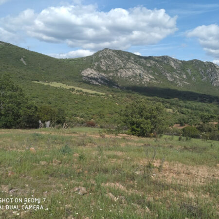 Espectacular finca de 75 hectárea de caza mayor