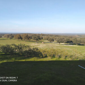 Finca de 23 hectárea de encinas y labor en Villanueva de el duque