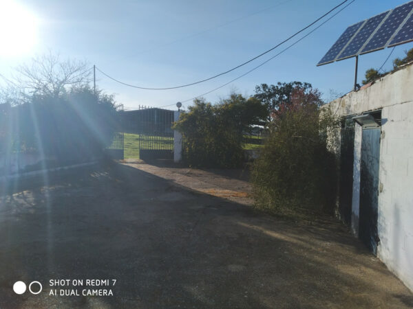 Finca de 23 hectárea de encinas y labor en Villanueva de el duque - Imagen 2