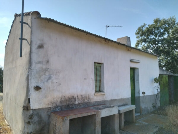 13 hectárea de olivar y Monte en Villanueva de Córdoba - Imagen 4