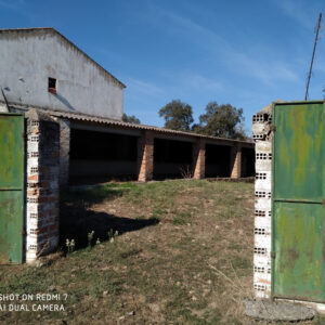 Finca en Cardeña de 54 hectárea.