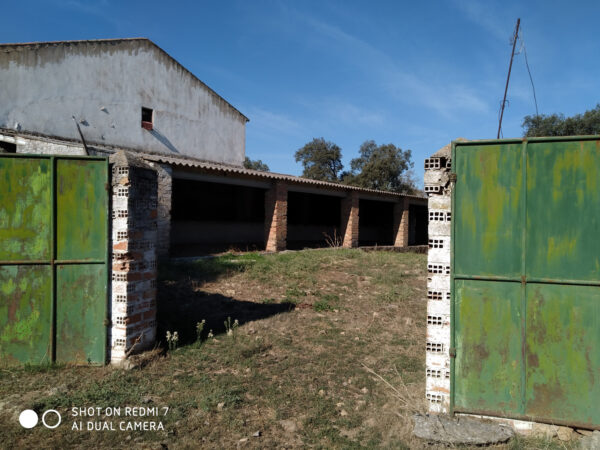 Finca en Cardeña de 54 hectárea.