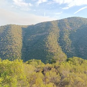 FINCA DE CAZA MAYOR EN SIERRA MORENA (CORDOBA)