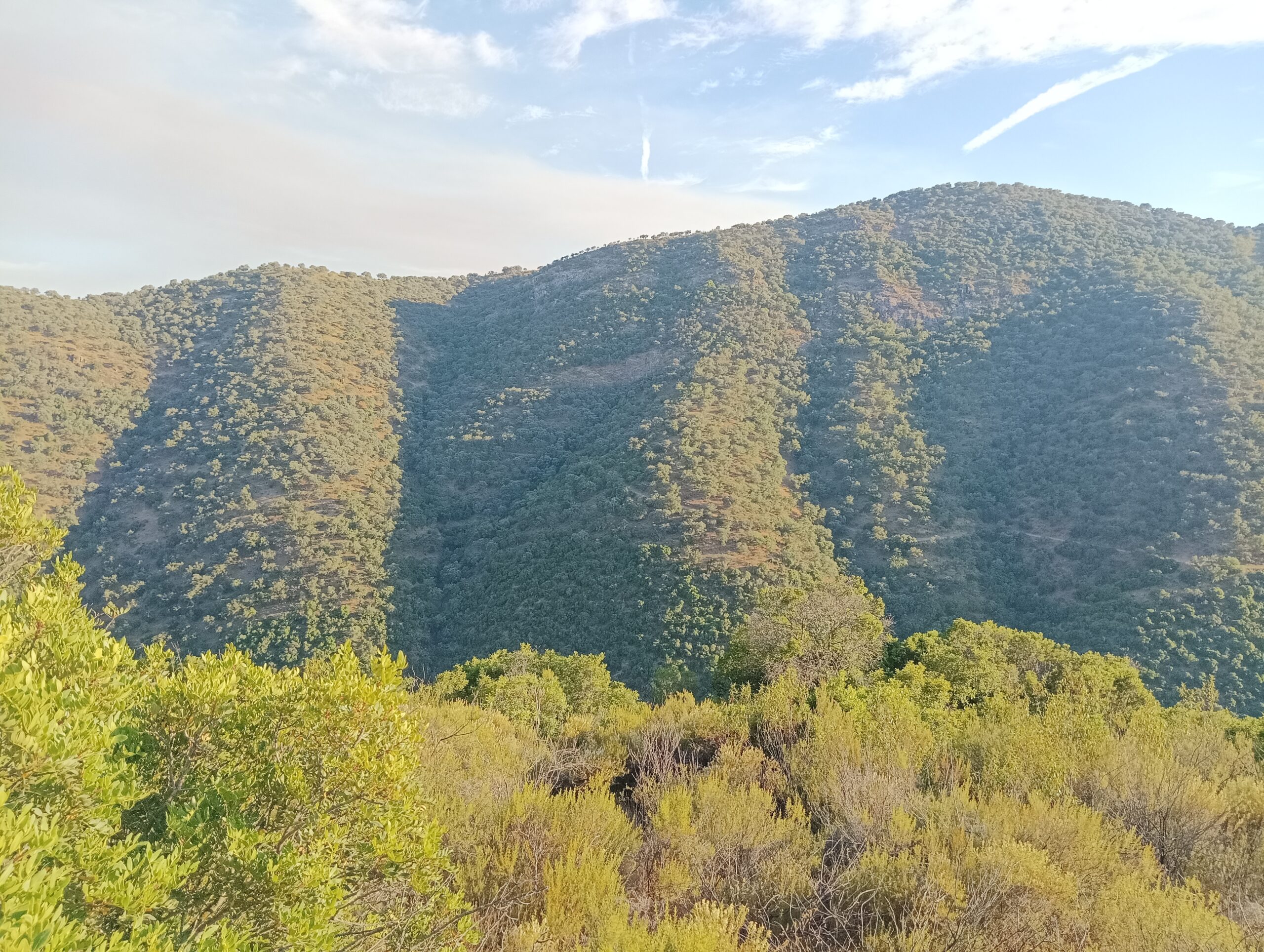FINCA DE CAZA MAYOR EN SIERRA MORENA (CORDOBA)